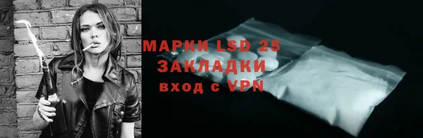 амф Дмитриев