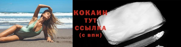 амф Дмитриев
