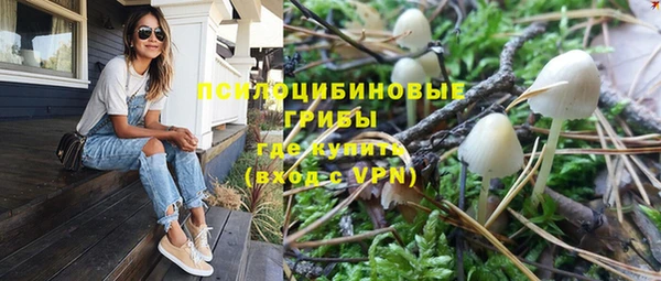 хмурый Дмитровск