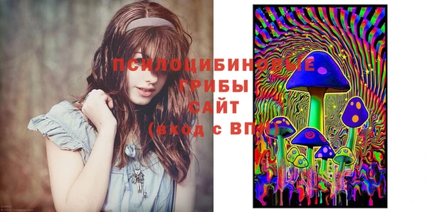 хмурый Дмитровск