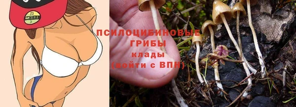амф Дмитриев