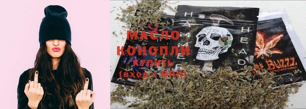амф Дмитриев