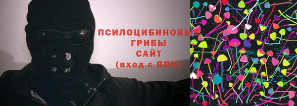 хмурый Дмитровск