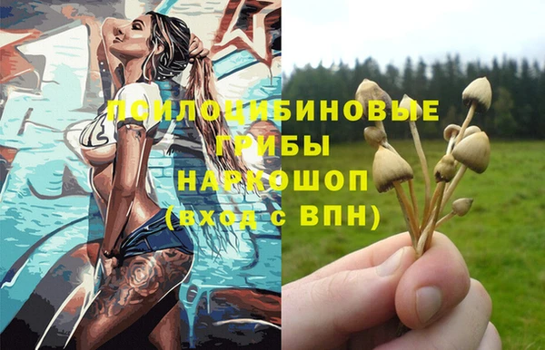 мяу мяу мука Дмитров