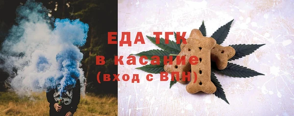 хмурый Дмитровск