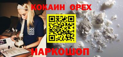 mdpv Гатчина