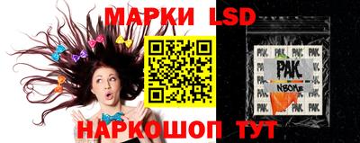 mdpv Гатчина