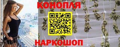 mdpv Гатчина