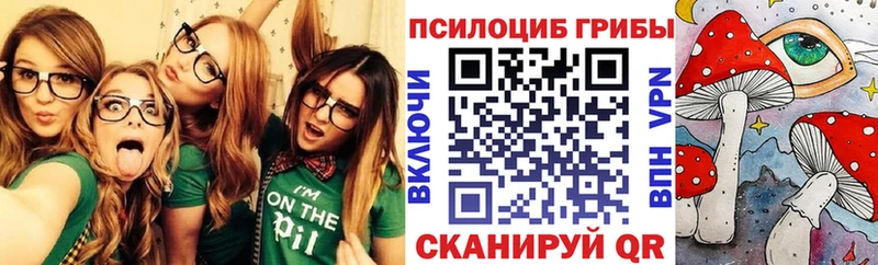 Псилоцибиновые грибы Cubensis  дарнет шоп  Донской 