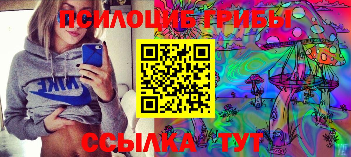 Галлюциногенные грибы мицелий Донской