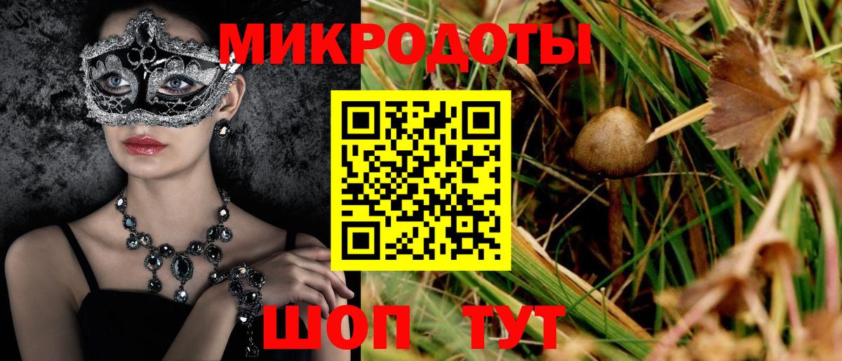 Галлюциногенные грибы Psilocybine cubensis  Донской 