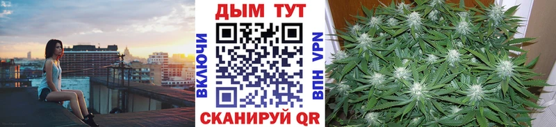 Бошки марихуана Amnesia  наркотики  Донской 